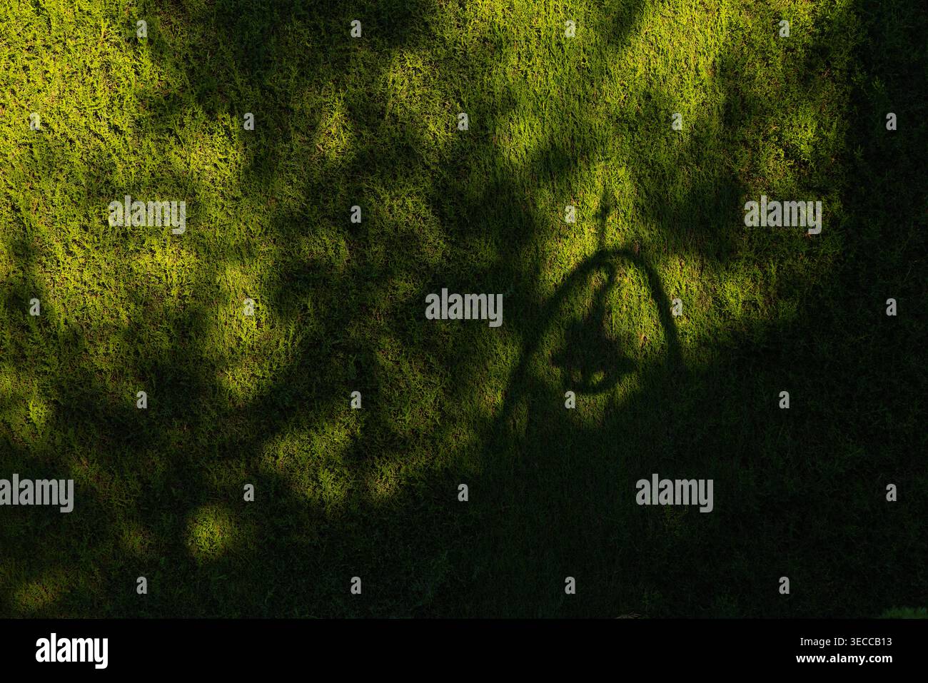 Shadow of Well Pulley on Trees in Rural Garden Foto Stock
