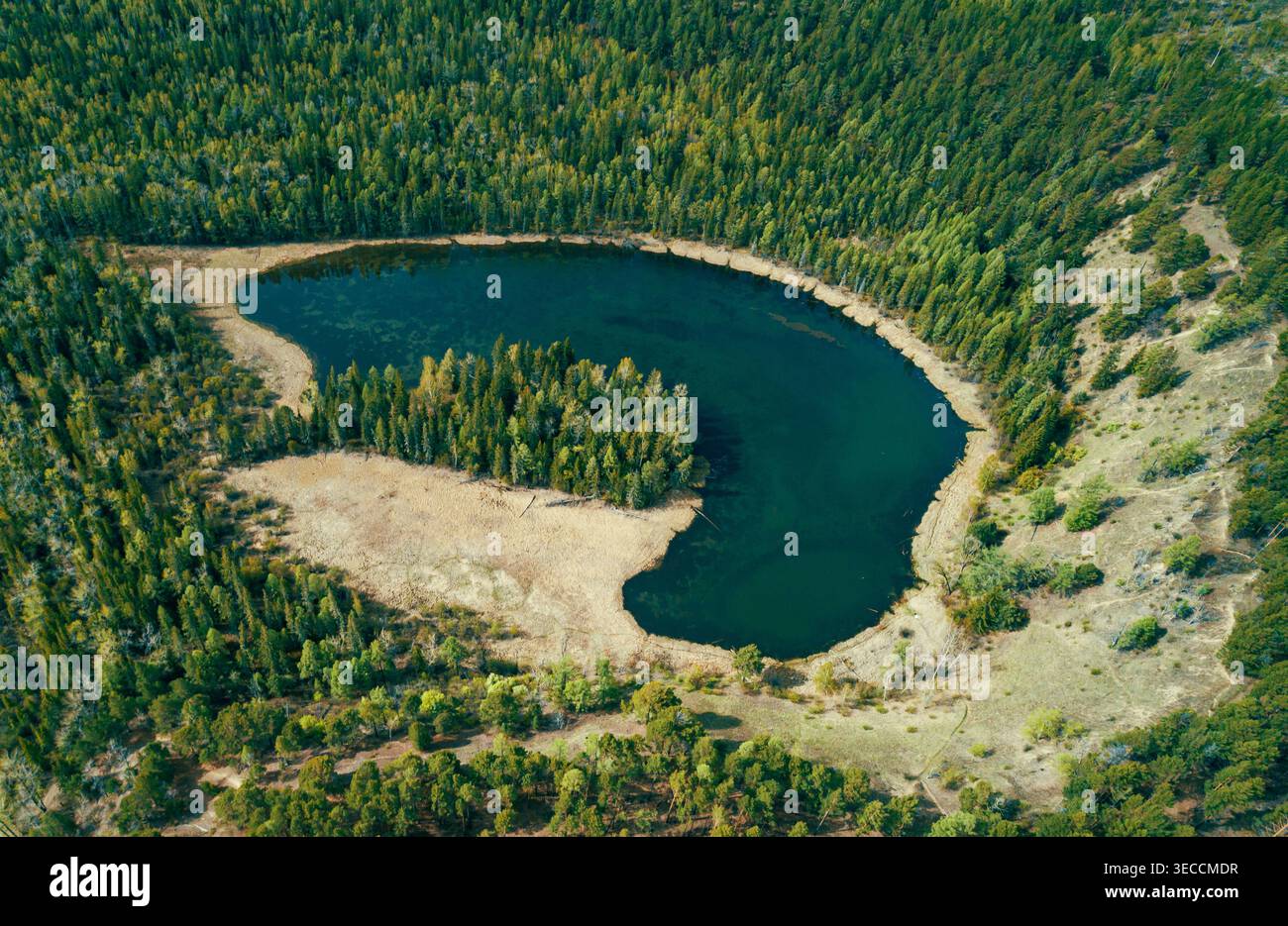 La fitta foresta verde circonda un lago blu sereno catturato da una prospettiva aerea Foto Stock
