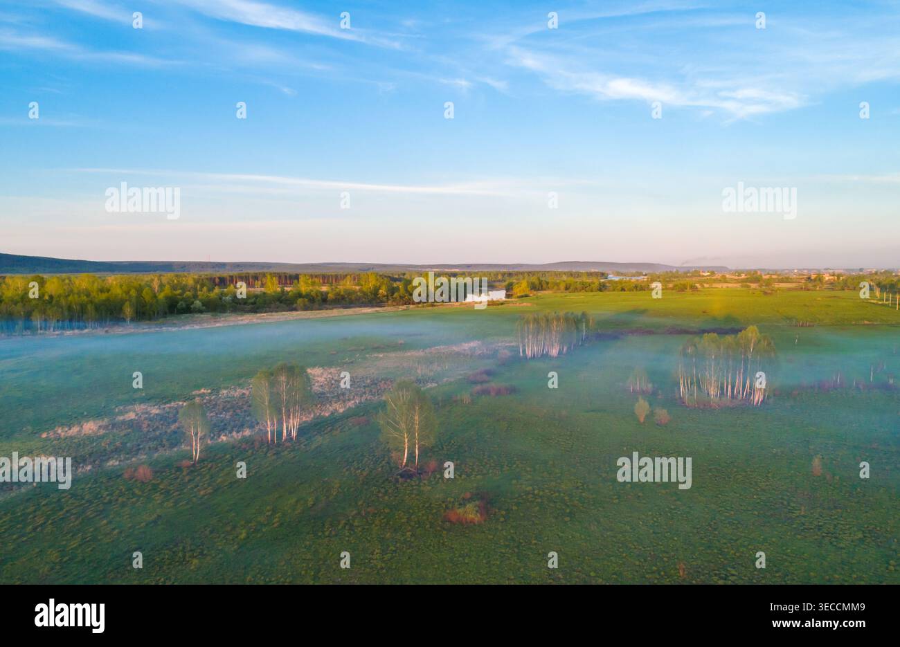 La vista aerea cattura le coperte di nebbia mattutina, un ampio e vivace prato verde punteggiato di betulle accanto a un fiume tranquillo e a boschi lontani Foto Stock