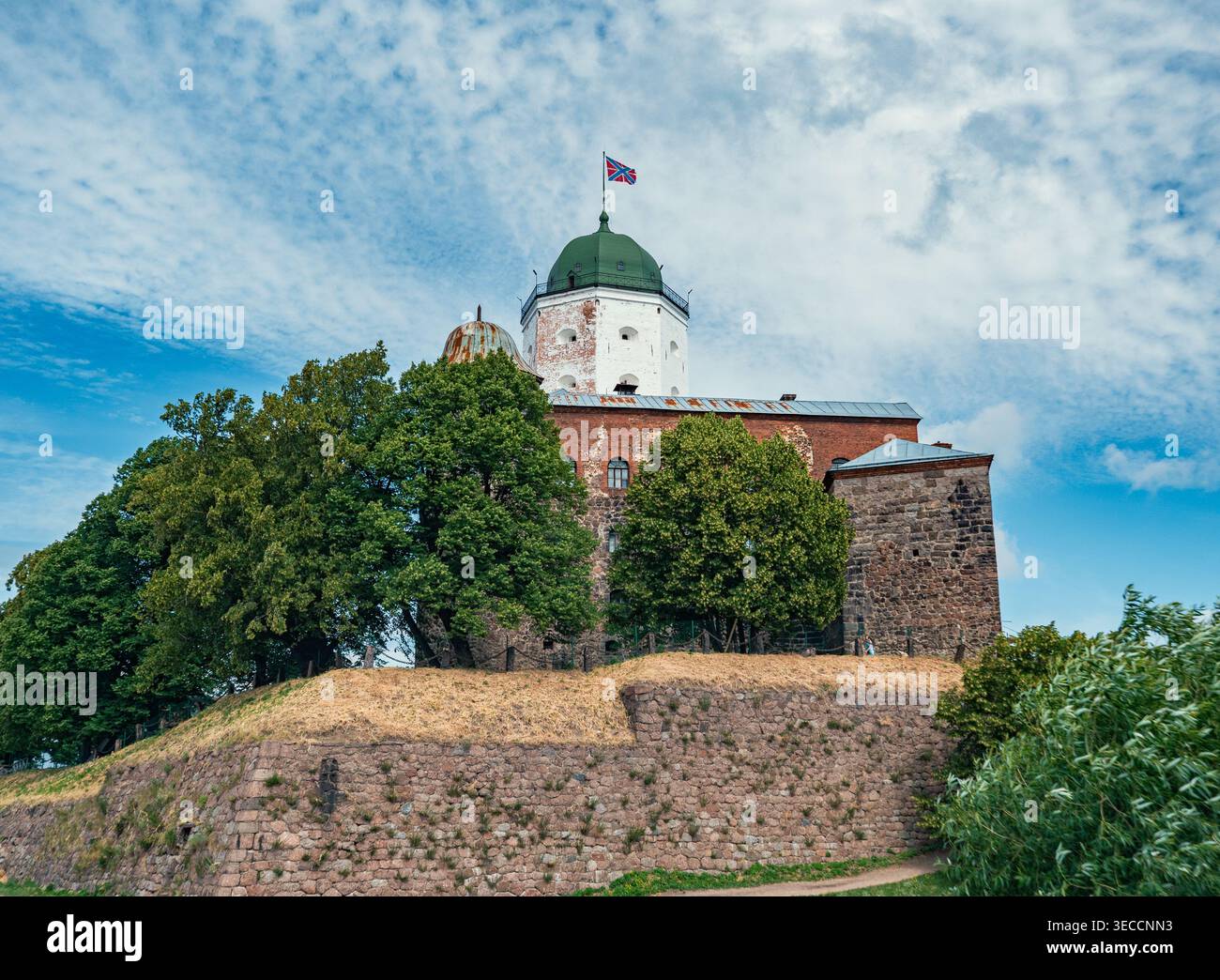 Mura di pietra del castello di Vyborg che si innalzano sopra alberi verdi contro il cielo nuvoloso Foto Stock