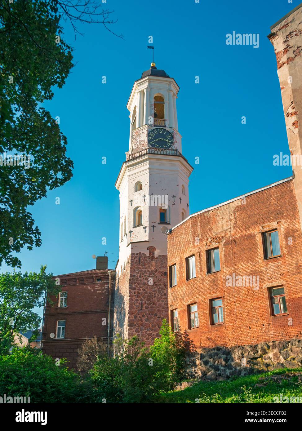 Torre dell'Orologio di Vyborg con la sua architettura classica accanto a vecchie strutture in mattoni sotto un cielo estivo Foto Stock