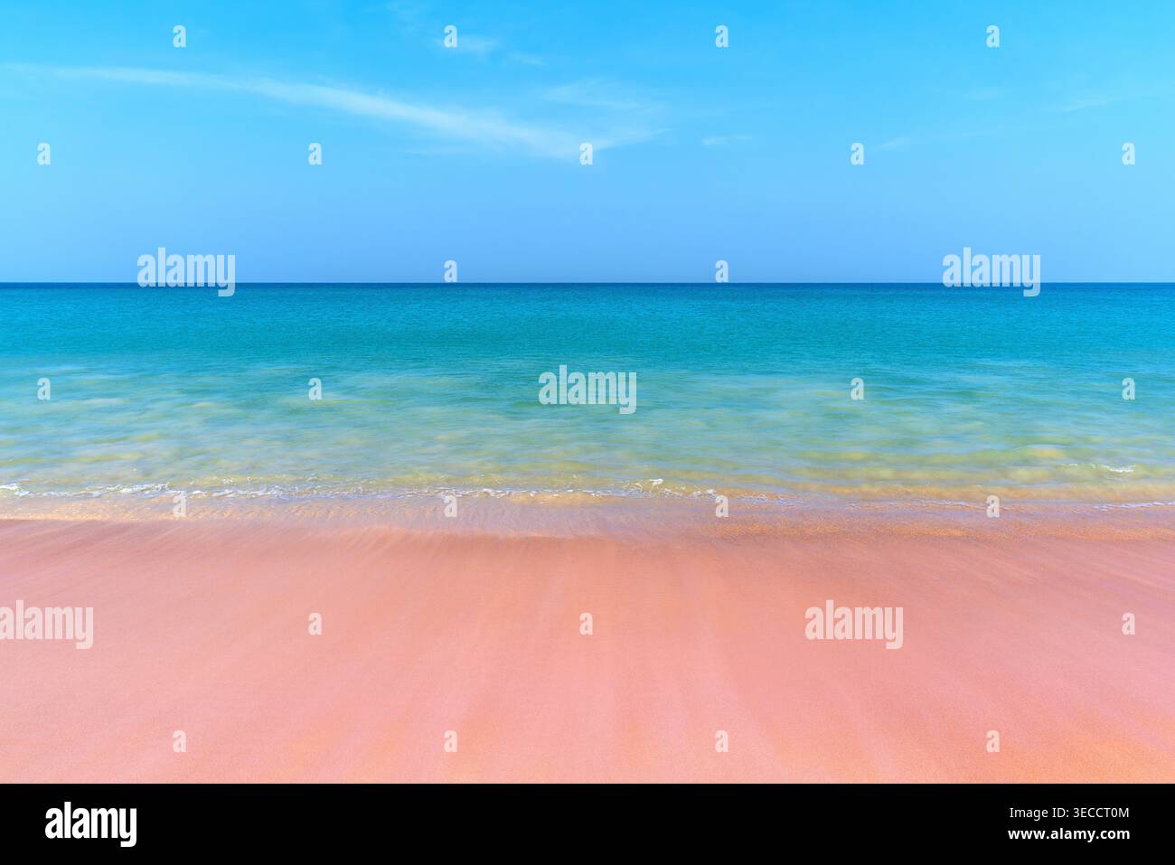 Spiaggia bellissima con sabbia rosa pulita e onde oceaniche. Foto Stock