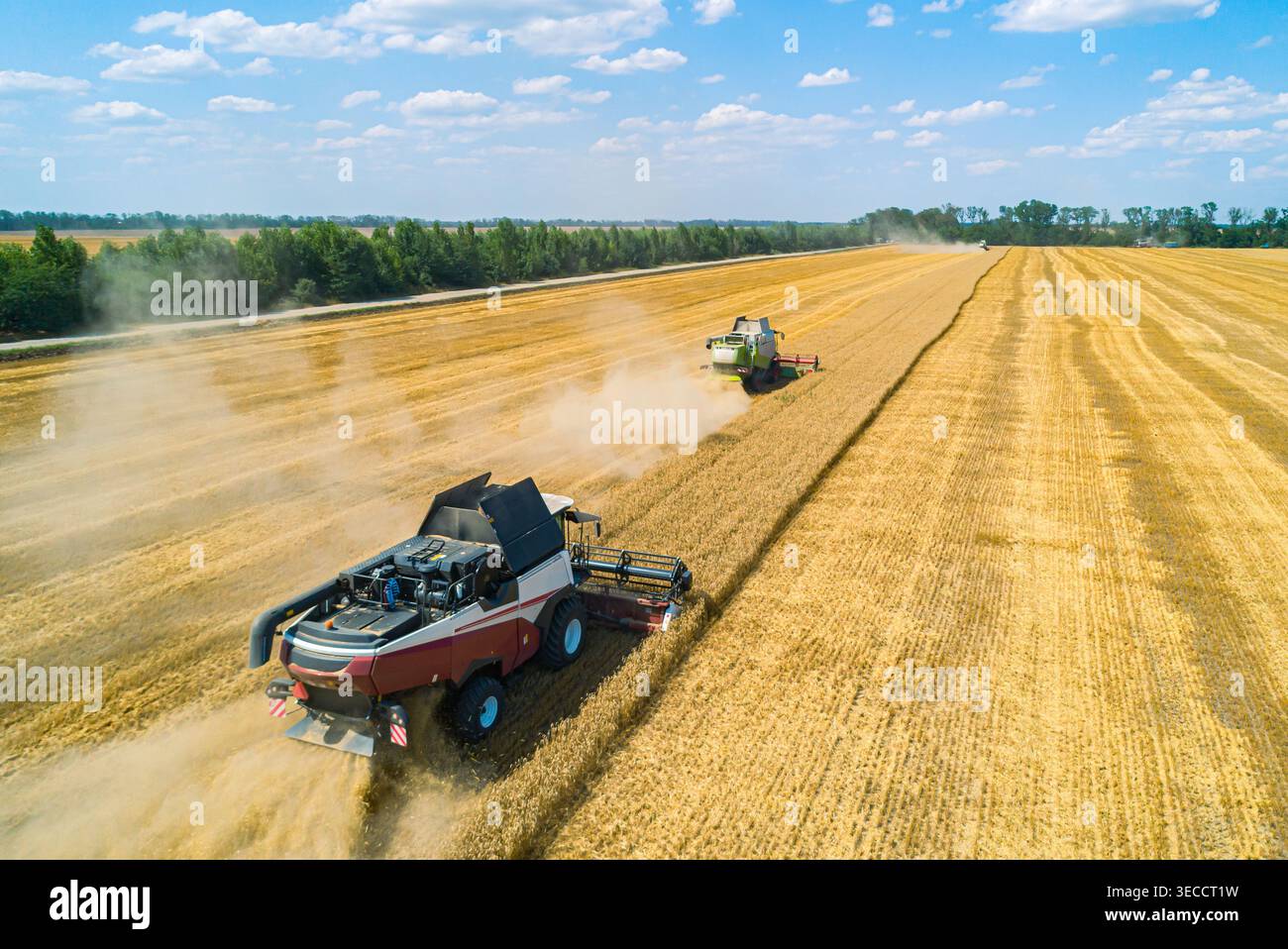 Vista aerea delle mietitrebbie che raccolgono grano in un campo in una giornata di sole Foto Stock