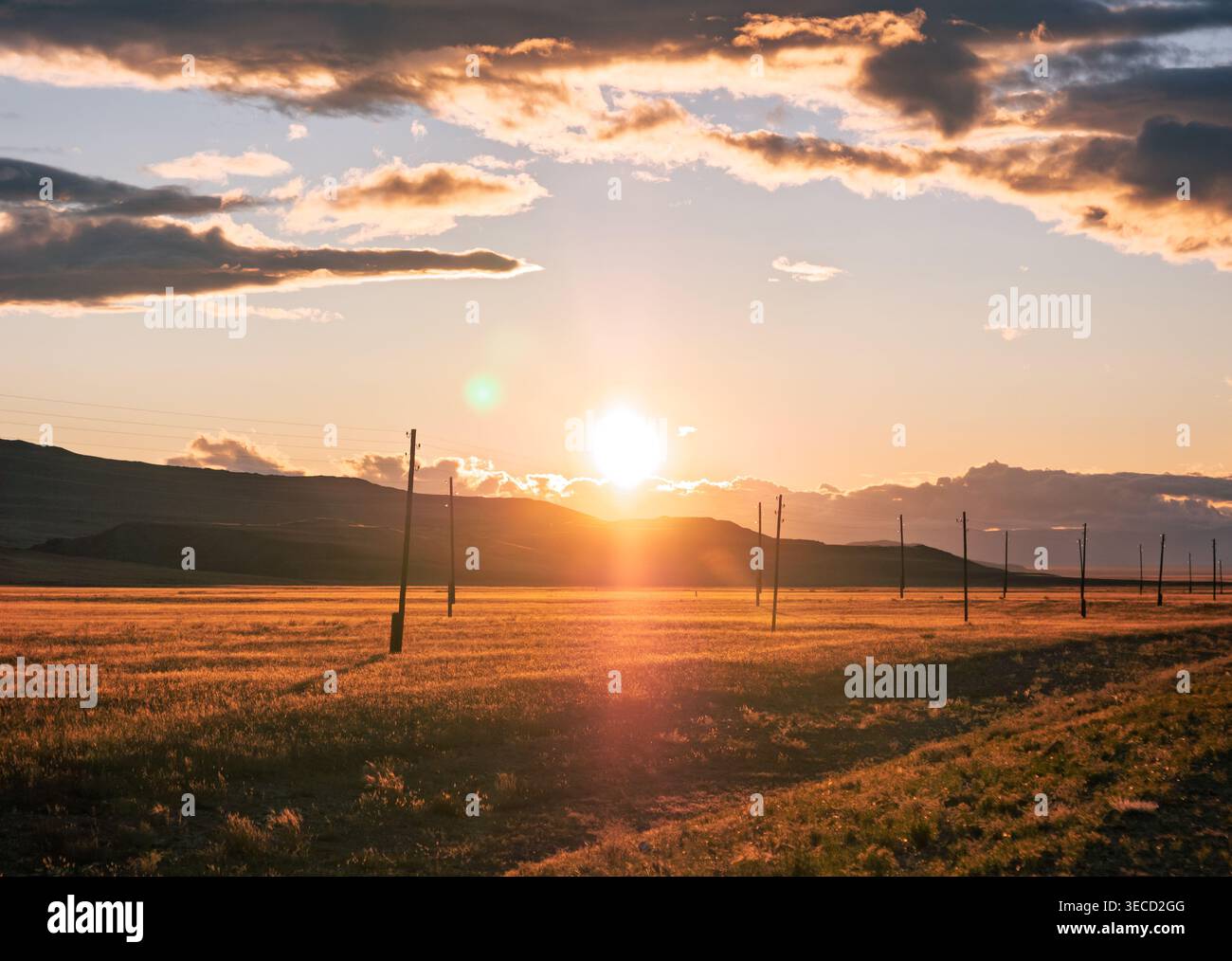 La luce dorata illumina un ampio campo di Altai mentre il sole tramonta dietro montagne lontane, con pali di servizio che fiancheggiano l'orizzonte Foto Stock