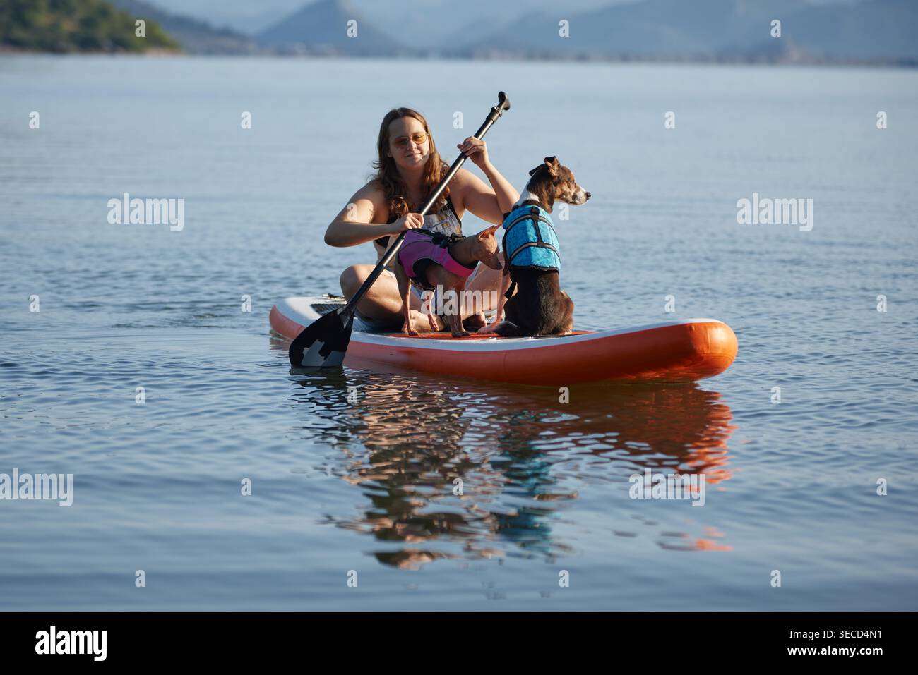 cani e donne perdono l'equilibrio e cadono da una tavola nel lago. Lo spruzzo rompe la superficie calma dell'acqua. Foto Stock