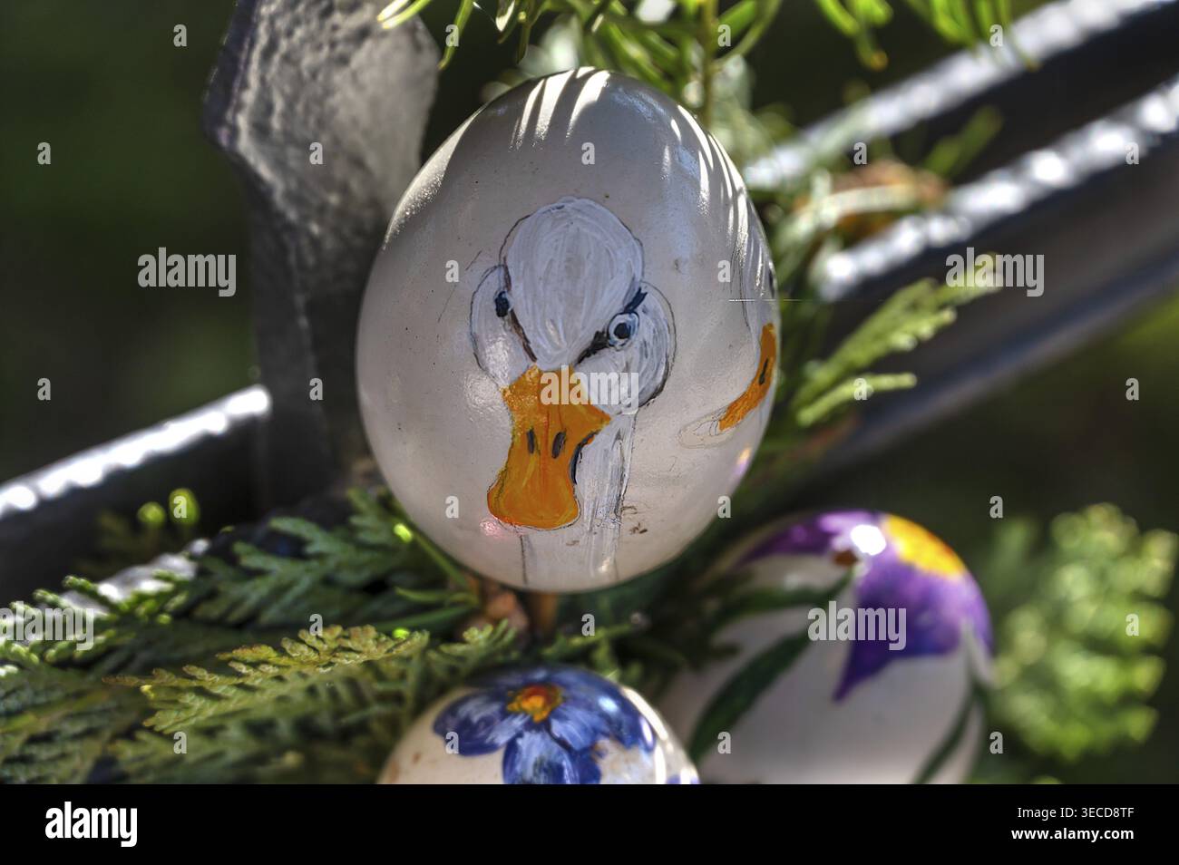 Uovo d'oca dipinto con testa d'anatra alla fontana di Pasqua di Eckenhaid, tradizione in Franconia, Eckental, Franconia media, Baviera, Germania Foto Stock