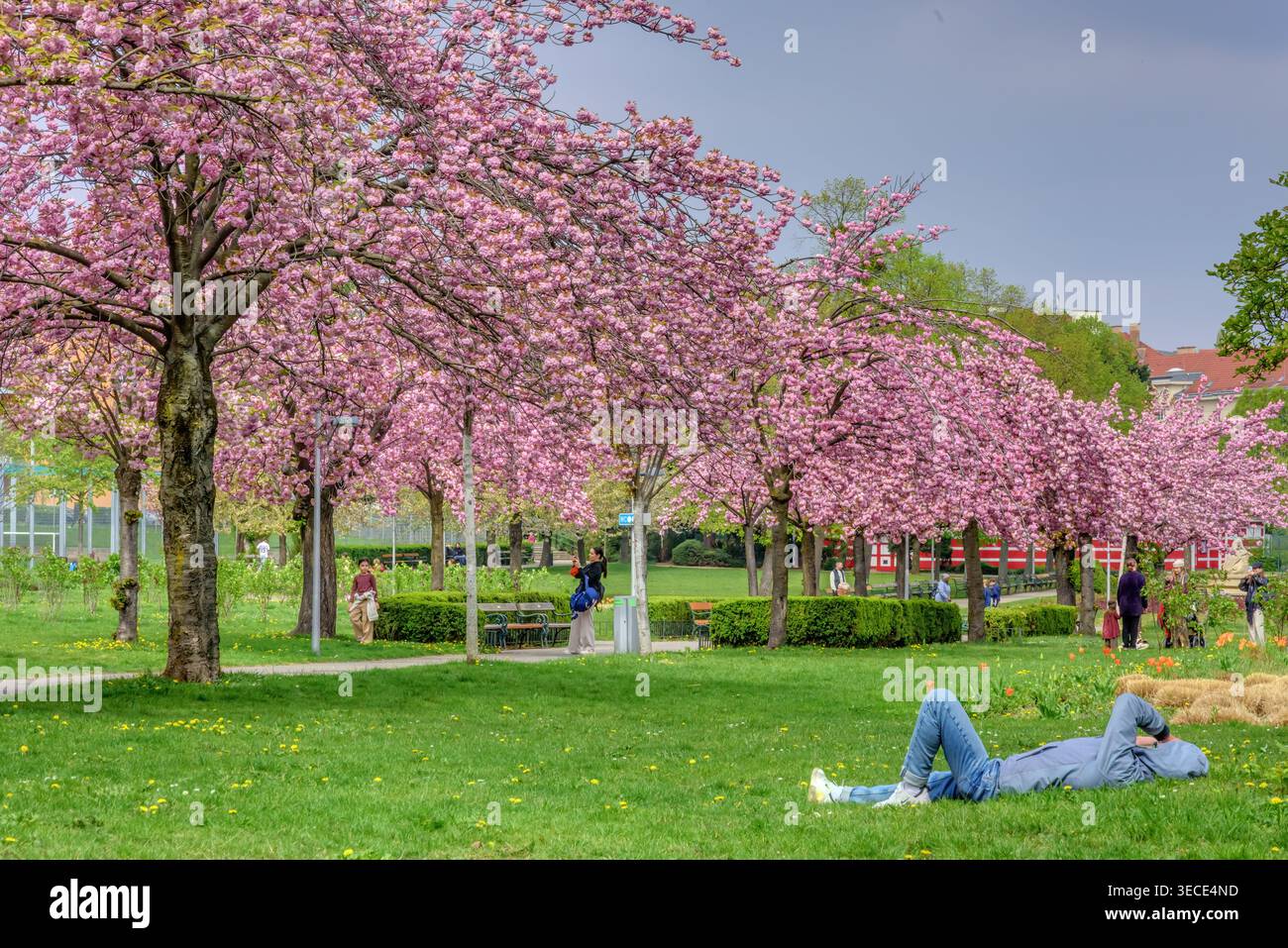 Wien, Herderpark // Vienna, Herderpark Foto Stock