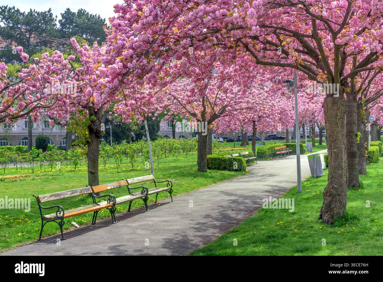 Wien, Herderpark // Vienna, Herderpark Foto Stock