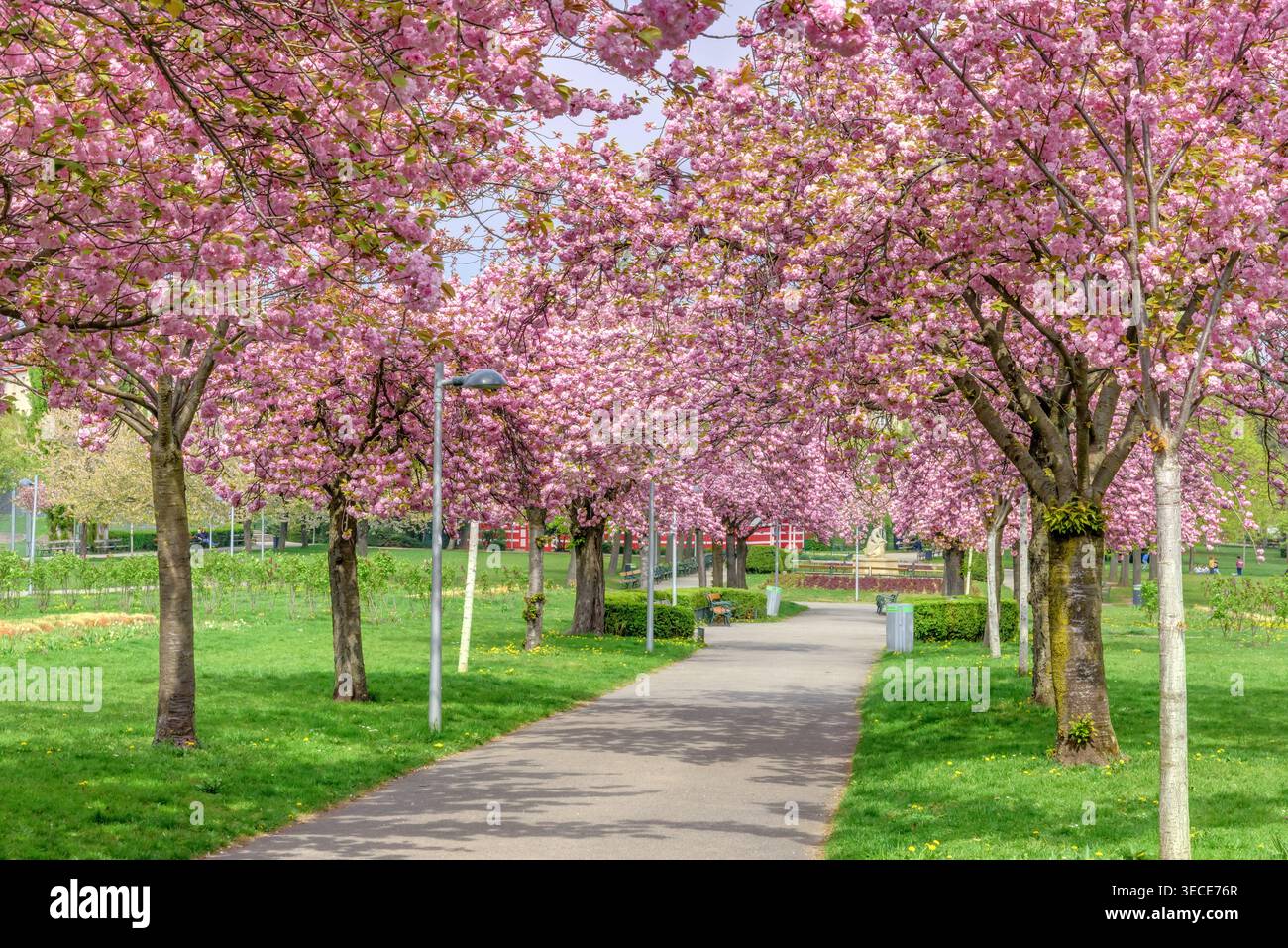 Wien, Herderpark // Vienna, Herderpark Foto Stock