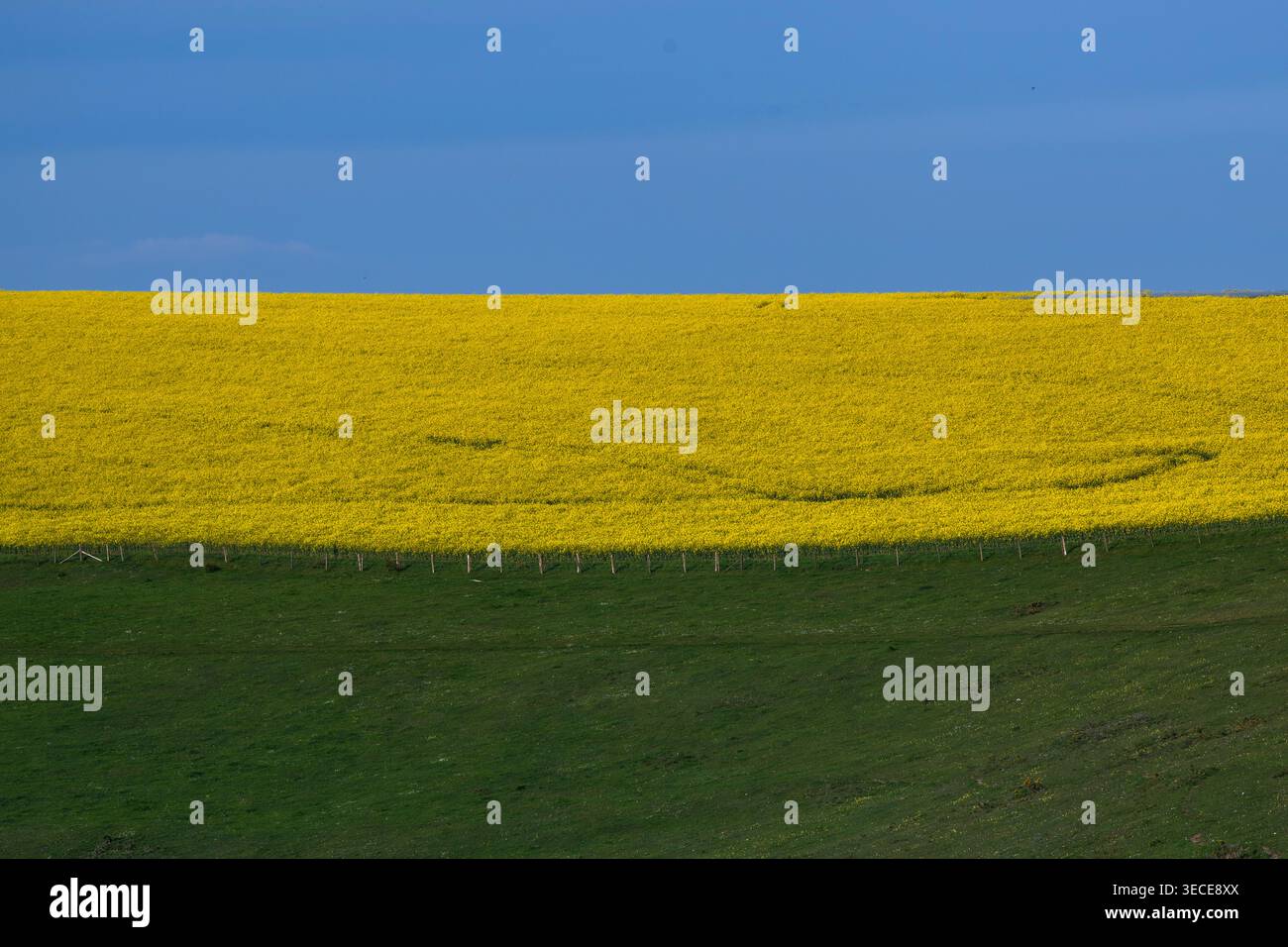 Paesaggio blu, giallo e verde Foto Stock