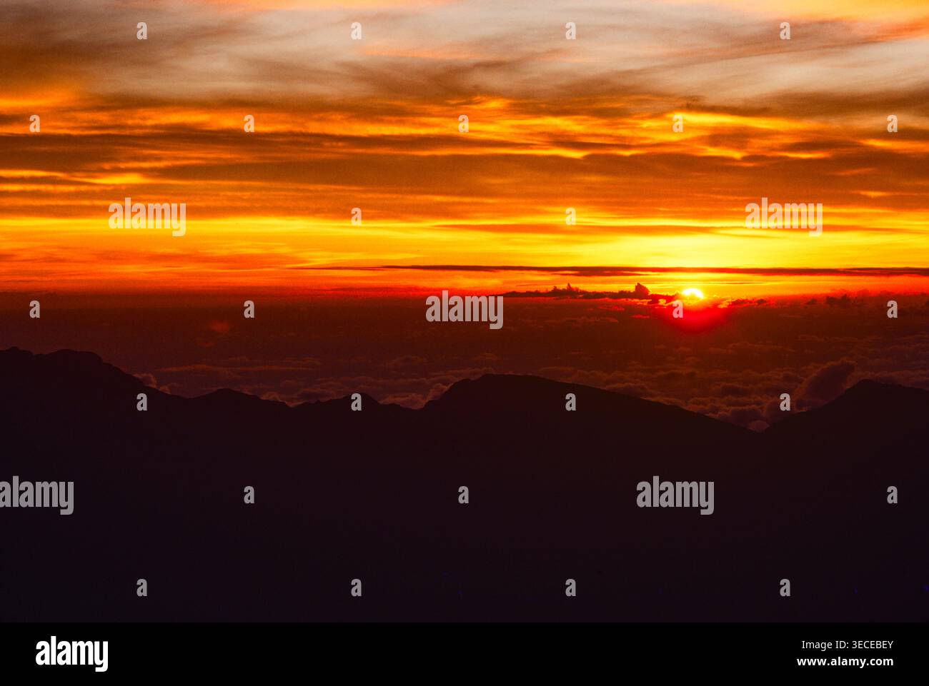Avventurieri in cima alla montagna Haleakala per l'alba e poi scendi fino al livello del mare in bicicletta, isola di Maui, Hawaii, Stati Uniti Foto Stock
