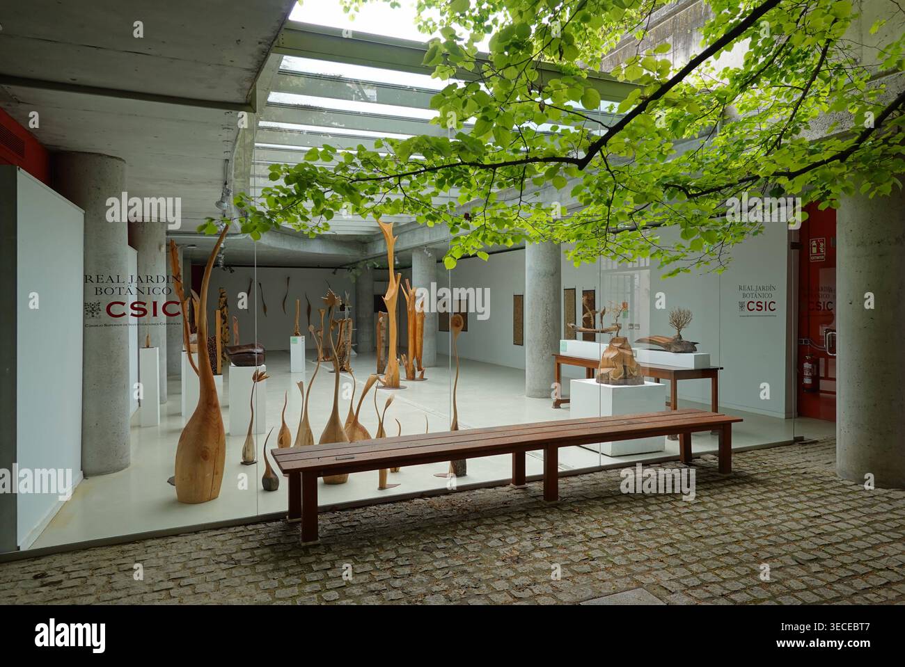 Madrid, Botanischer Garten Real Jardin Botanico de Madrid, Ausstellungsraum // Madrid, Giardino Botanico Real Jardin Botanico de Madrid, Exhibition Roo Foto Stock