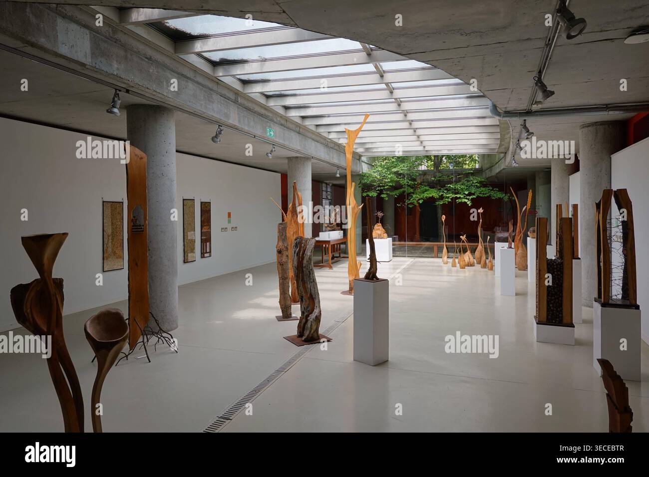 Madrid, Botanischer Garten Real Jardin Botanico de Madrid, Ausstellungsraum // Madrid, Giardino Botanico Real Jardin Botanico de Madrid, Exhibition Roo Foto Stock