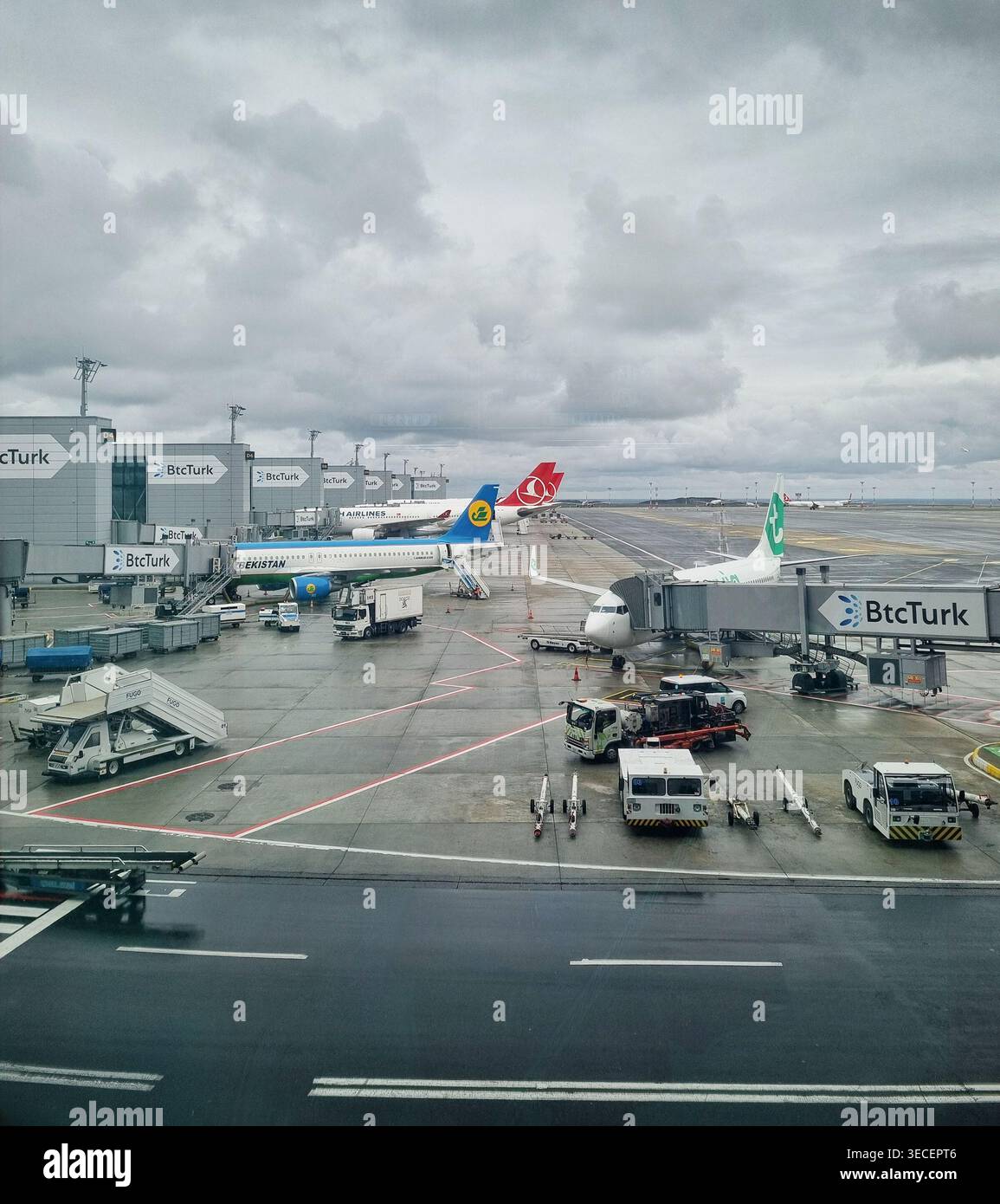 Gli aeromobili sono attraccati all'ala D dell'aeroporto di Istanbul. Aerei internazionali di diverse compagnie aeree parcheggiati ai cancelli dell'aeroporto di Istanbul in una giornata di pioggia. Foto Stock