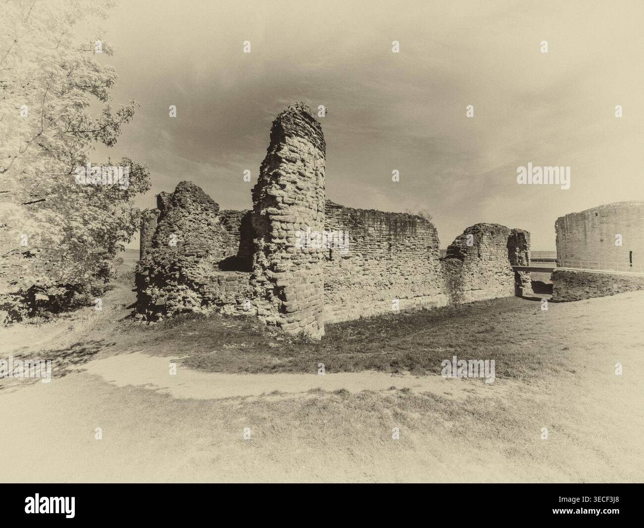 Immagine in bianco e nero della fortezza medievale abbandonata del castello di Flint [Castell Flint] nella città di Flint nel Galles del Nord Cymru sul fiume Dee Foto Stock