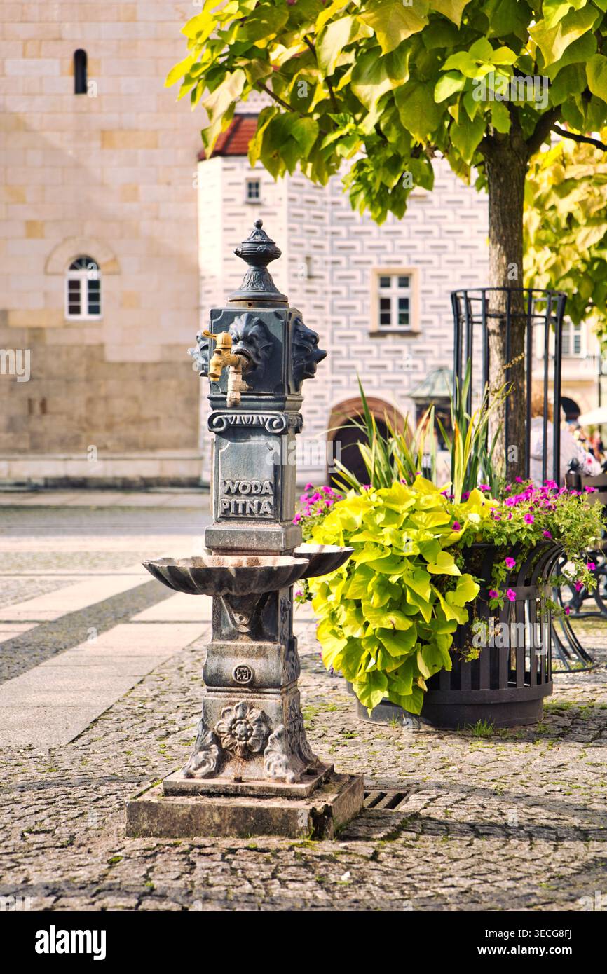 Fontana da strada in ghisa ornata con rubinetto dell'acqua sulla piazza acciottolata nella storica piazza cittadina di Boleslawiec, incorniciata da alberi frondosi e fl Foto Stock