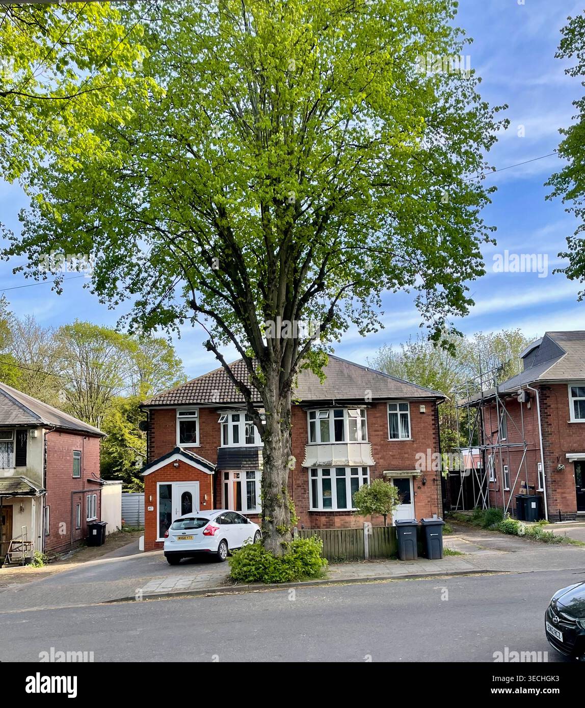 Un bellissimo albero di fronte ad una casa suburbana semi-indipendente Foto Stock