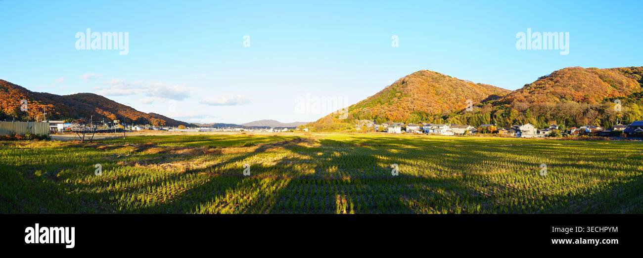 Panorama autunnale di Kibitsu nella città di Okayama, con montagne d'acero che si innalzano dietro prati verdi e un tranquillo villaggio Foto Stock