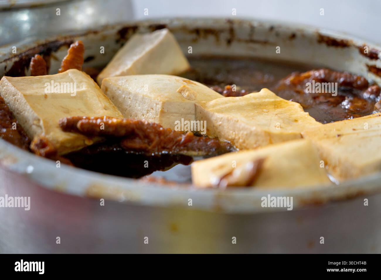 Blocchi di tofu rettangolari e teneri piedi di pollo sospesi in una ricca salsa di soia scura. Preparato in una pentola di metallo stagionato, questo autentico piatto asiatico presenta un popolare cibo di strada e prelibatezze fatte in casa, note per i suoi sapori saporiti. Foto Stock