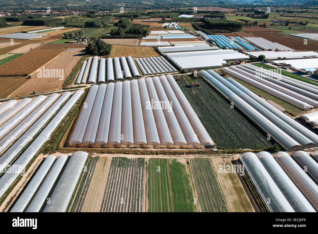 Veduta aerea di grandi serre agricole e campi coltivati sotto un cielo azzurro limpido Bra, Piemonte, Italia. Foto Stock