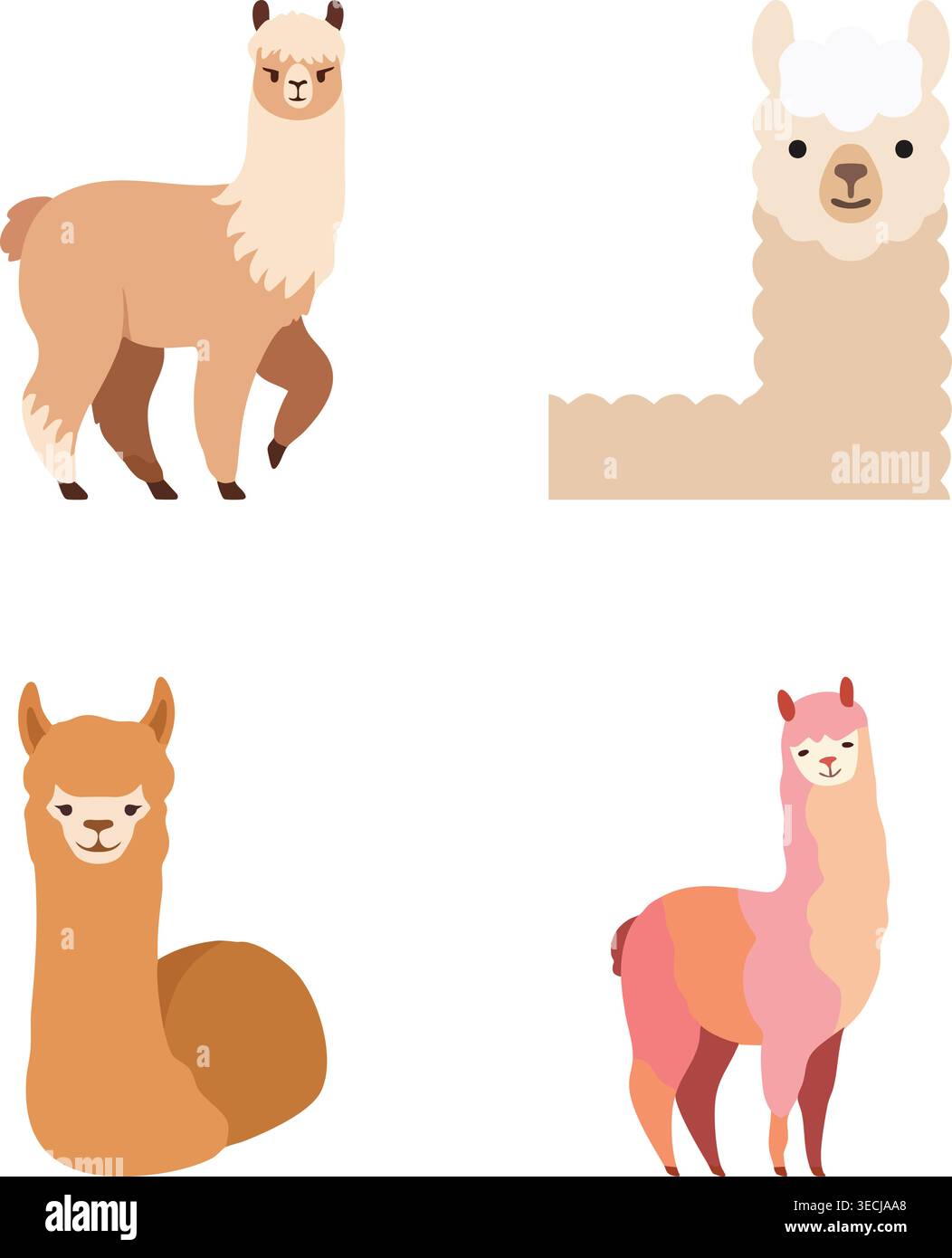 Un simpatico set di illustrazioni piatte con personaggi di lama e alpaca in diverse pose e stili, tra cui animali in piedi e seduti con soffici c Illustrazione Vettoriale
