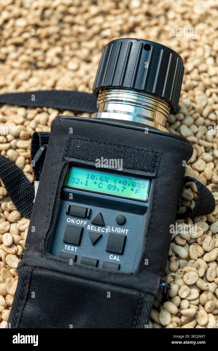 Analizzatore di umidità portatile che misura l'umidità e la temperatura dei chicchi di caffè verde essiccati in una fattoria di caffè Panama, garantendo un controllo di qualità. Foto Stock
