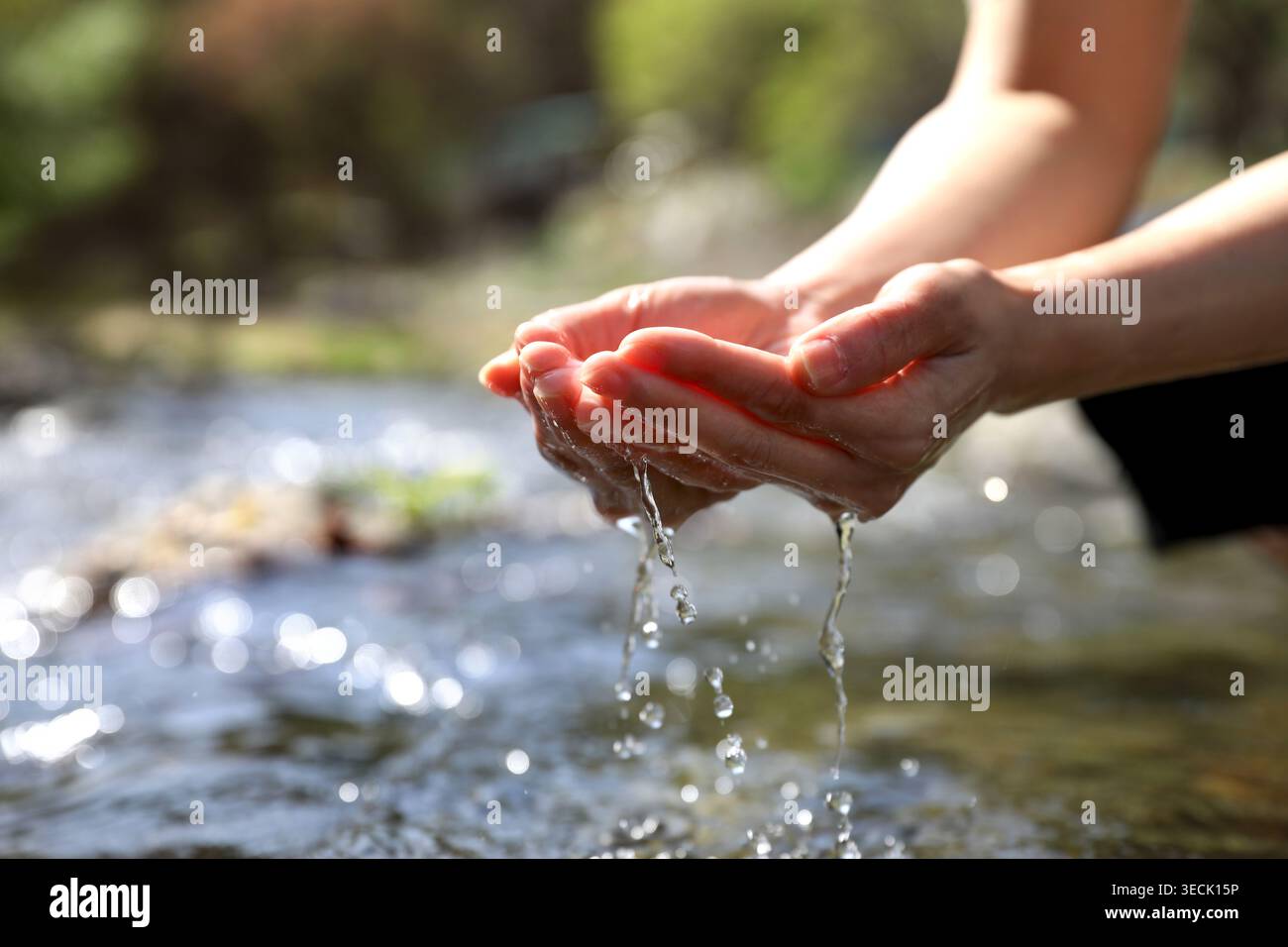 Acqua preziosa della vita, bere acqua pulita e limpida tenuta nelle mani, sfondo della giornata Mondiale dell'acqua Foto Stock