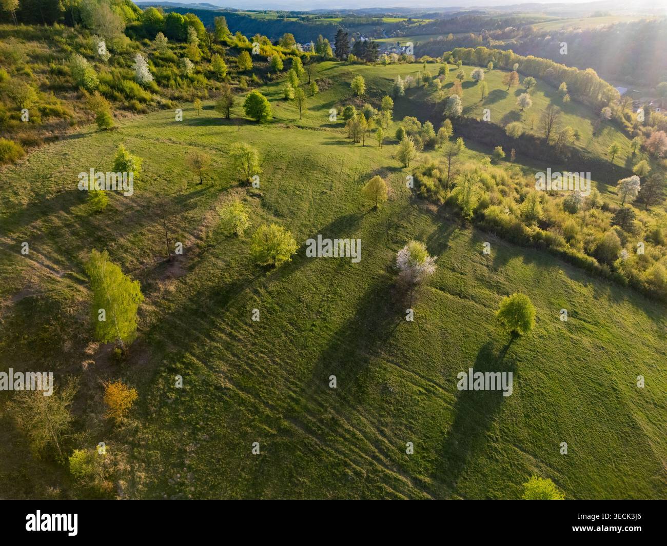 Vista aerea delle colline verdi ondulate con alberi sparsi e lunghe ombre durante l'ora d'oro a Cerin, Banskobystricky kraj, Slovacchia. Foto Stock