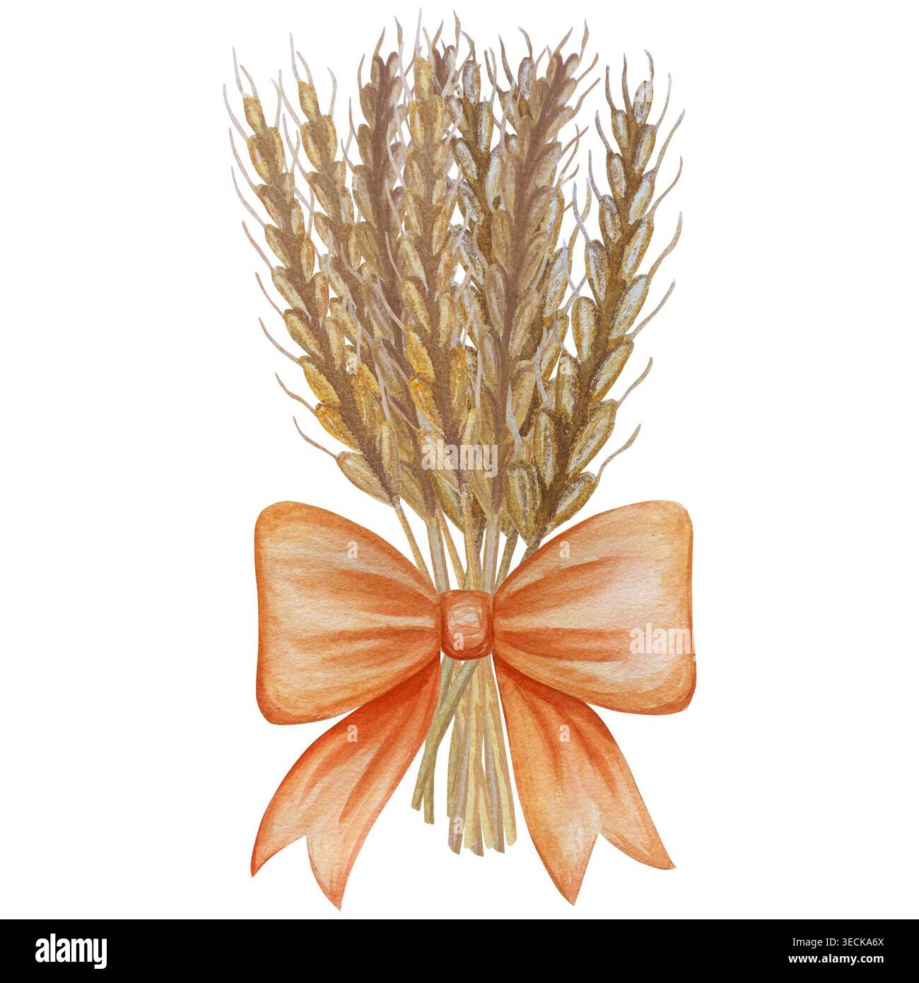 Collezione di elementi autunnali. Composizioni autunnali con zucche, foglie d'acero, girasole, segale. Illustrazione del giorno del ringraziamento per la raccolta dell'acquerello. Mano p Foto Stock