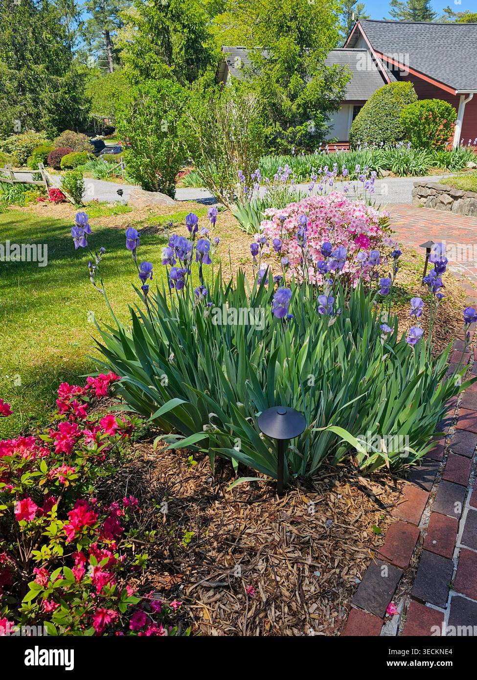 Giardini all'Highland Lake Inn, Flat Rock, North Carolina. Iris e Azaleas fioriscono ad aprile nei giardini dell'Highland Lake Inn. Foto Stock
