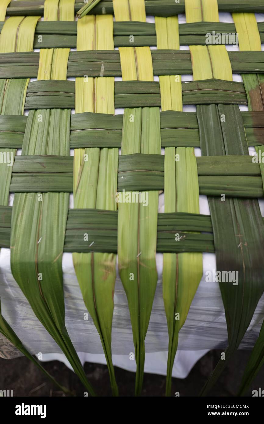 Primo piano del tradizionale motivo indonesiano anyaman con foglie di palma verdi intrecciate a mano. Foto Stock