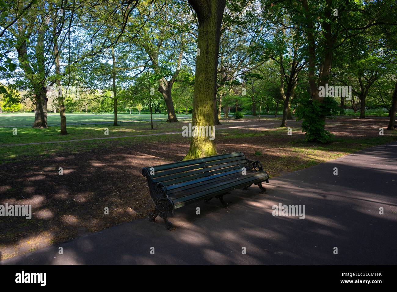 Mettiti in panchina sotto la luce del sole nel parco di Londra Foto Stock