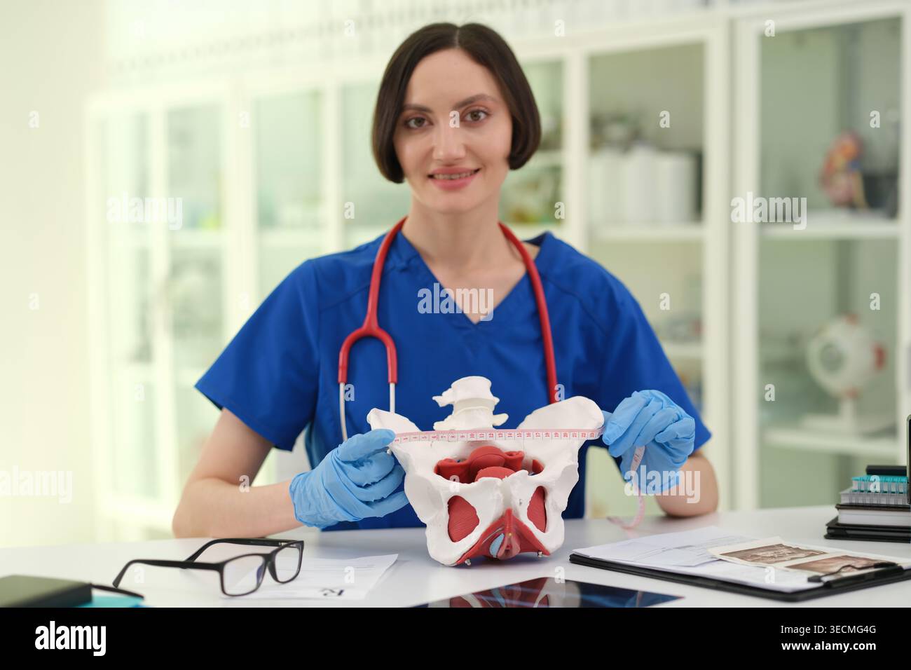 Medico caucasico che dimostra l'anatomia pelvica con il modello Foto Stock