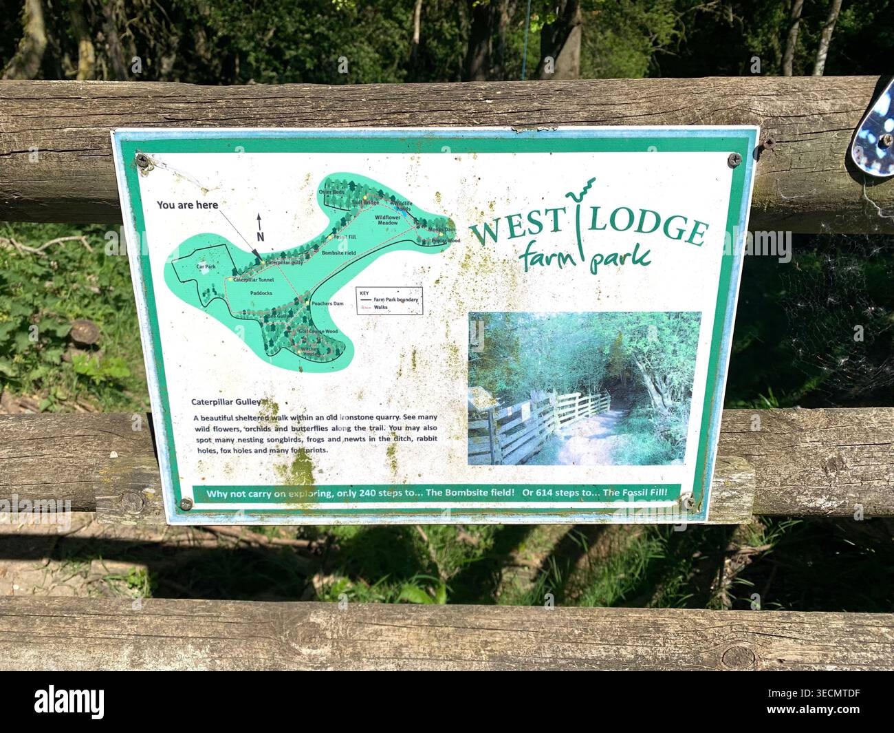 West Lodge Farm Park Northamptonshire mostra sentieri di campagna animali e percorsi panoramici e mostra maiali pecore agnelli uccelli clima - Immagine stock catturata con smartphone