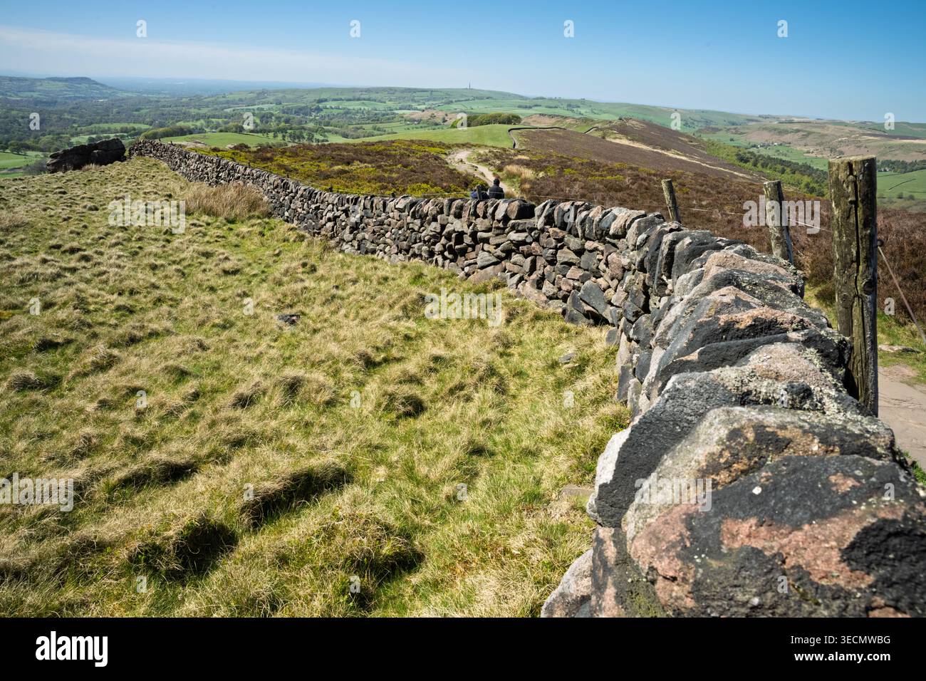 Annidato tra le pittoresche colline dello Staffordshire, un'affascinante parete di drystone si snoda attraverso una vegetazione lussureggiante, collegando il paesaggio sotto un limpido, Foto Stock