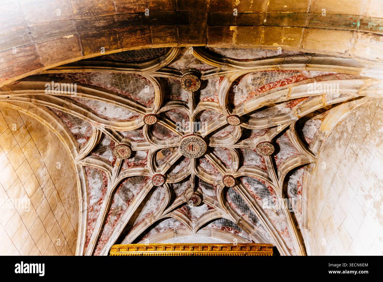 Soffitto gotico della sacrestia. Chiesa Collegiata di San Pedro de Cervatos. Cervatos, Campoo de Enmedio, Cantabria, Spagna, Europa Foto Stock