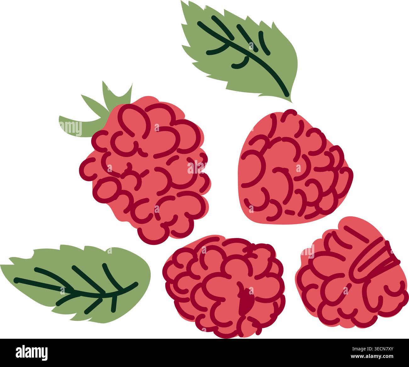 Set di lamponi astratti. Bacca di cartoni animati con fiori e foglie. elementi lampone. Può essere utilizzato per etichette di marmellate, design di cucine. Illustrazione Vettoriale
