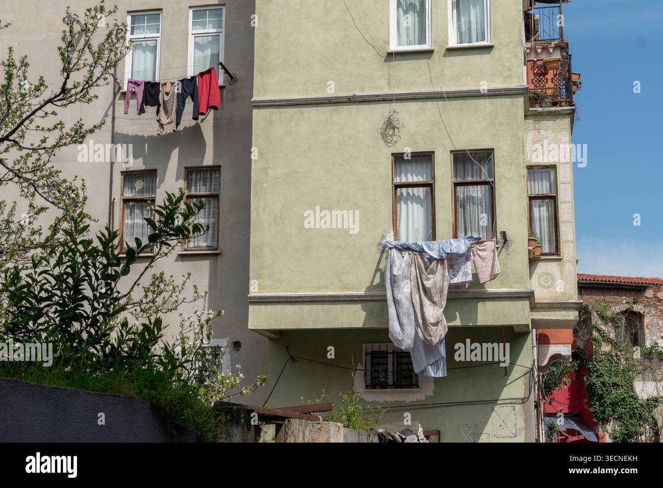 Biancheria appesa a corde fuori da un edificio residenziale con facciata verde chiaro e finestre a Balat Istanbul alla luce del giorno con piante in primo piano Foto Stock