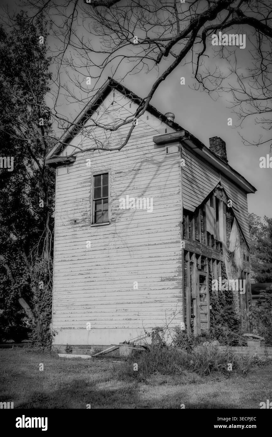 Foto in bianco e nero di una vecchia casa in legno abbandonata con vernice sbucciante e travi a vista circondate da alberi e erba sovrastata Foto Stock