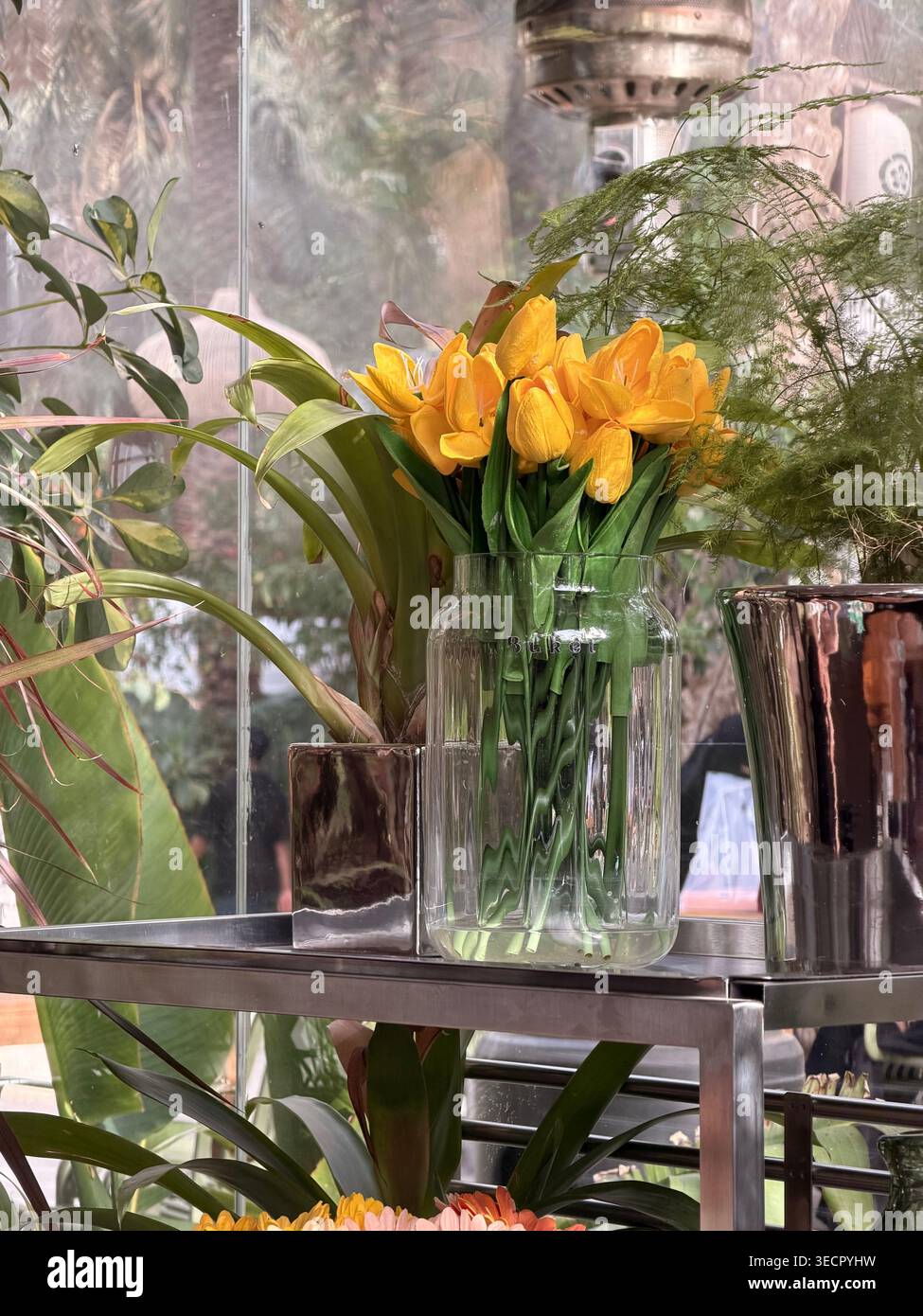 Tulipani gialli in vaso di vetro con luce naturale soffusa e piante verdi - Immagine stock catturata con smartphone