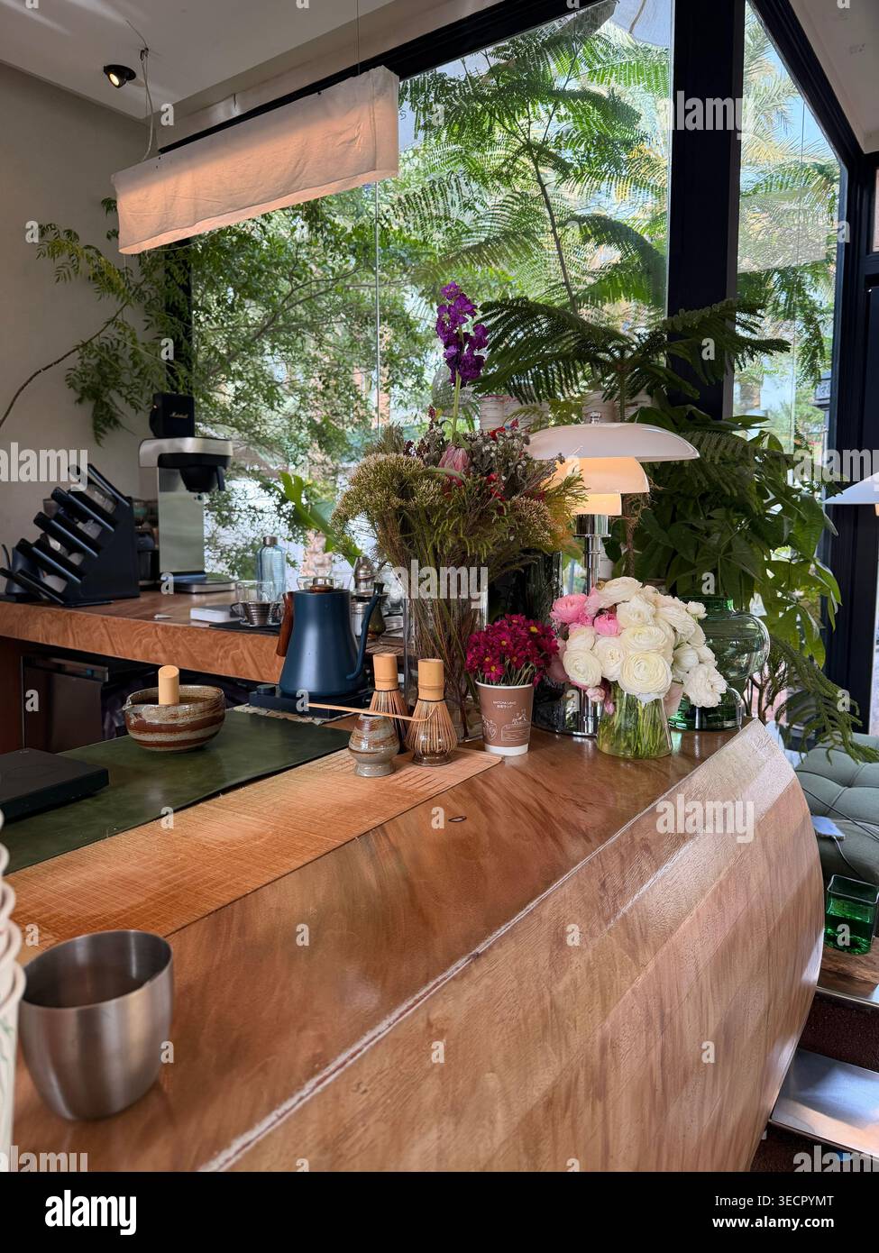 Moderno Cafe interno con lussureggianti piante verdi, banco in legno e luce naturale del sole - Immagine stock catturata con smartphone