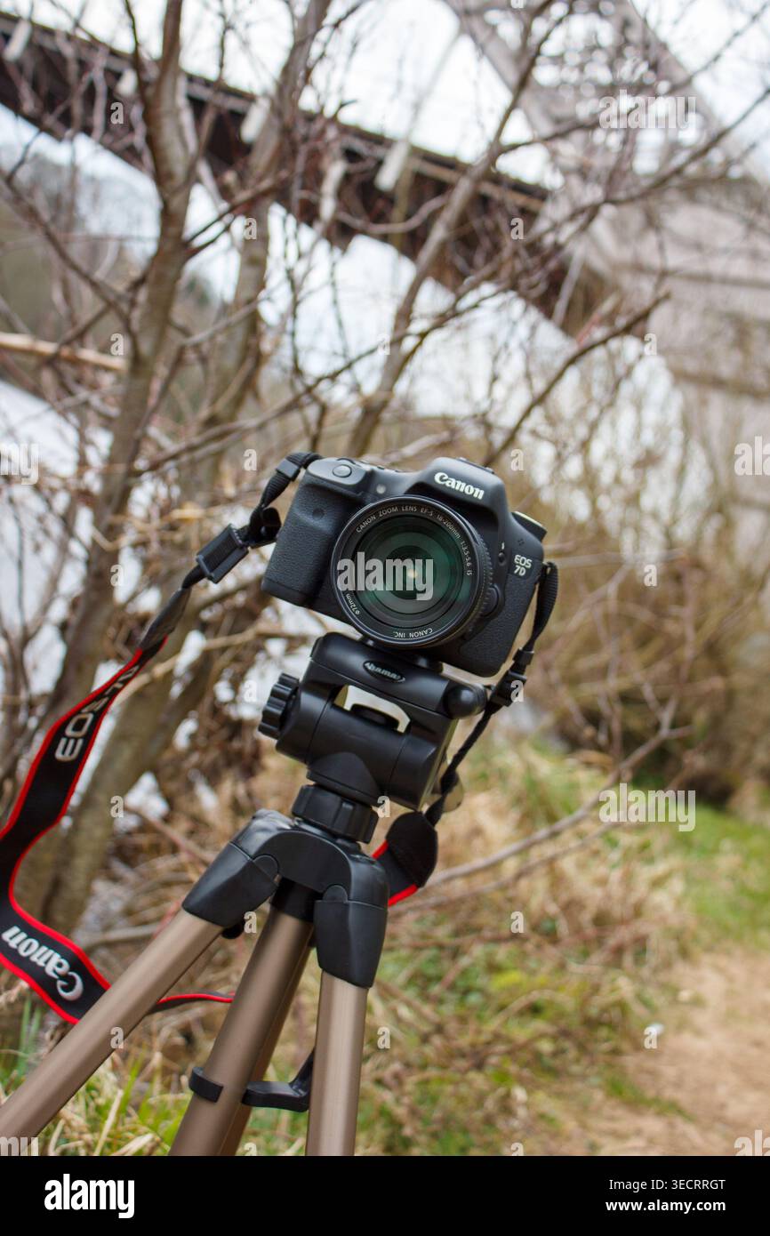 Wylam UK: 13 aprile 2013: Una fotocamera Canon 7d è posizionata su un treppiede in un'area naturale. Rami e piante circondano la telecamera. La scena si svolge duri Foto Stock