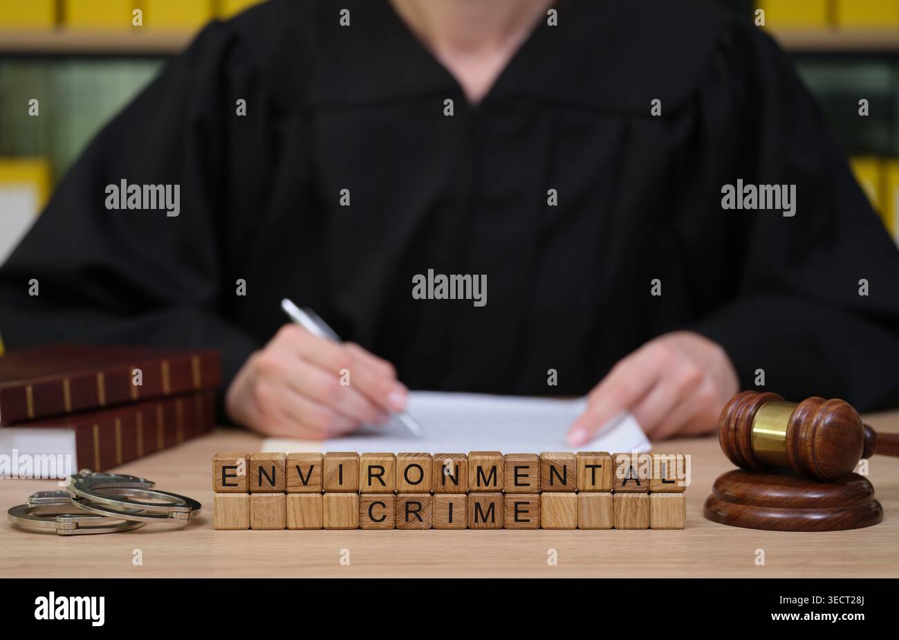 Giudice che affronta casi di reati ambientali con serietà e si concentra in un'aula piena di libri legali Foto Stock