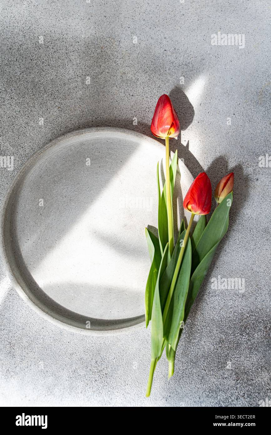 Tre tulipani rossi con foglie verdi poggiano su un piatto di ceramica bianca su un tavolo di cemento grigio, illuminato dalla luce naturale del sole e dall'ombra morbida; natura morta minima Foto Stock