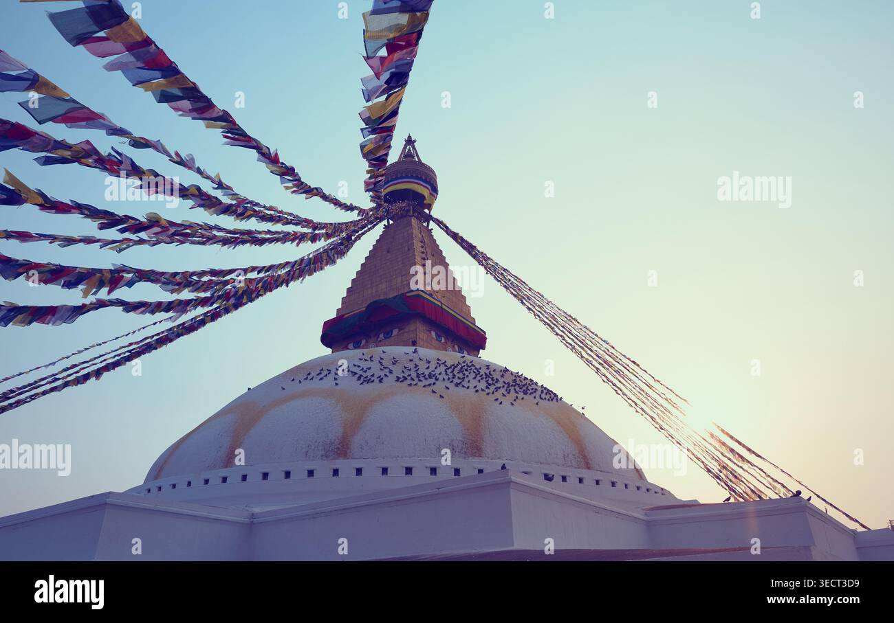 Grande Boudanath Stupa nella città di Kathmandu, Nepal Foto Stock