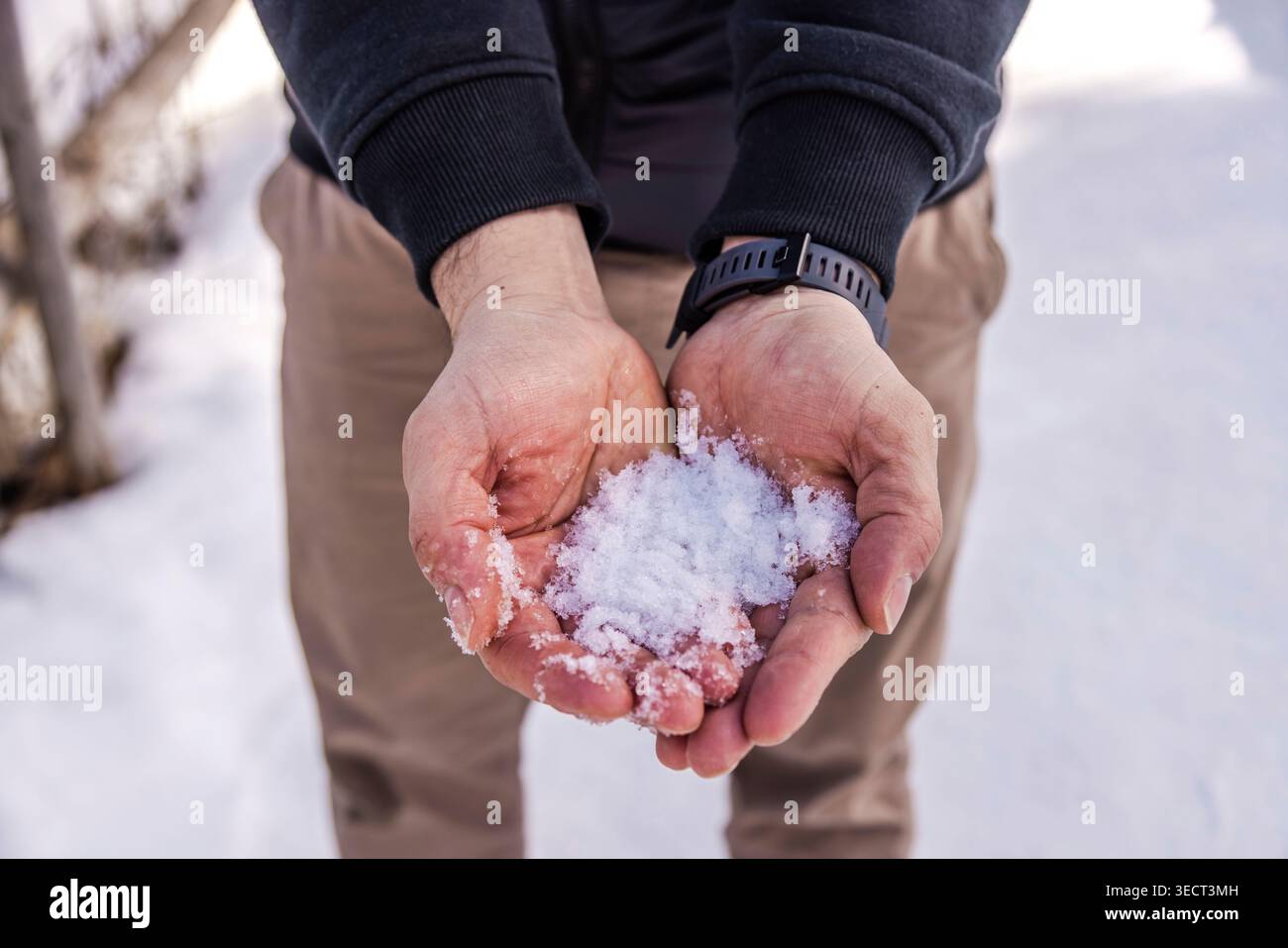 Primo piano di una persona che tiene una manciata di neve fresca in mani chiuse all'aperto. Scena invernale con sfondo sfocato, abbigliamento per climi freddi e natura Foto Stock