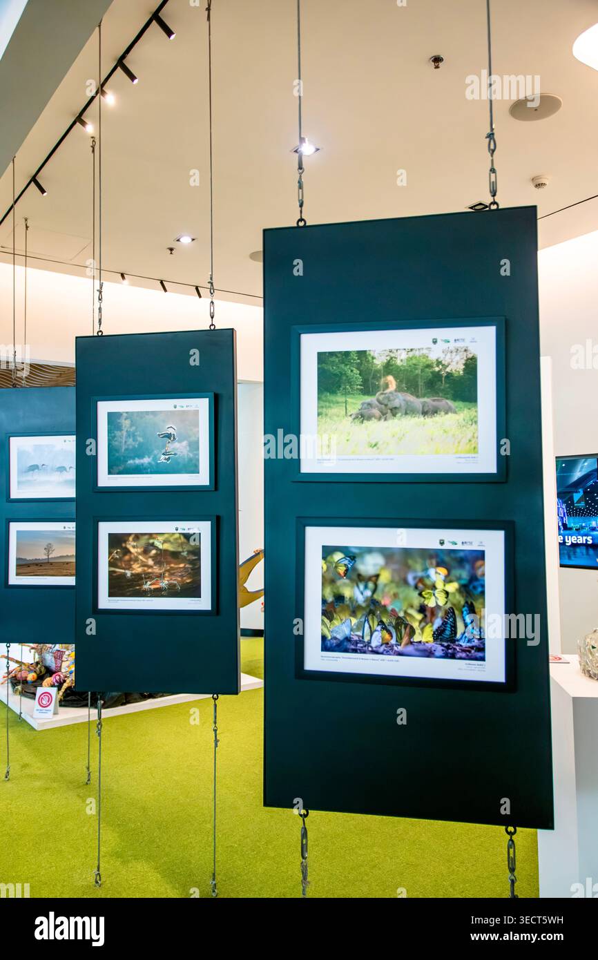 Una mostra di fotografia naturalistica e faunistica con opere d'arte incorniciate su pannelli sospesi neri all'interno di una sala galleria al QSNCC, Bangkok. Foto Stock