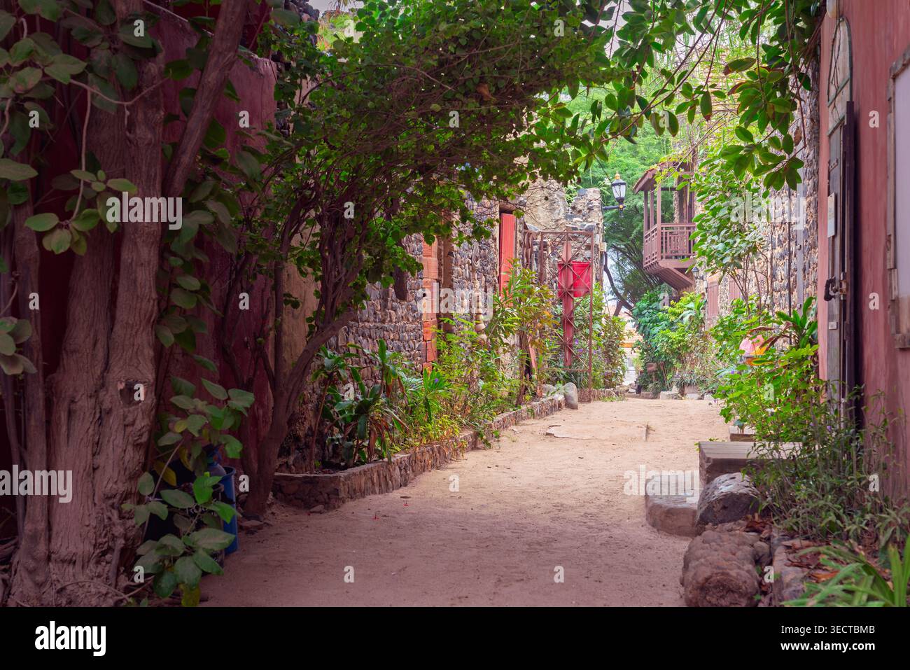 Stretta Sandy Street con pareti in pietra e vegetazione sull'isola di Goree, Senegal Foto Stock