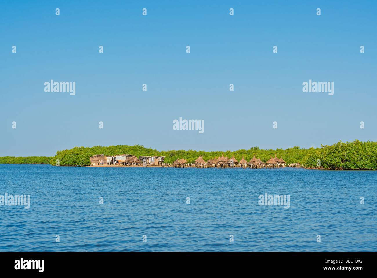 Isola di Fadiouth, Senegal. I tradizionali granai di paglia si ergono su palafitte in mezzo a una lussureggiante foresta di mangrovie nella regione di Joal-Fadiouth Foto Stock