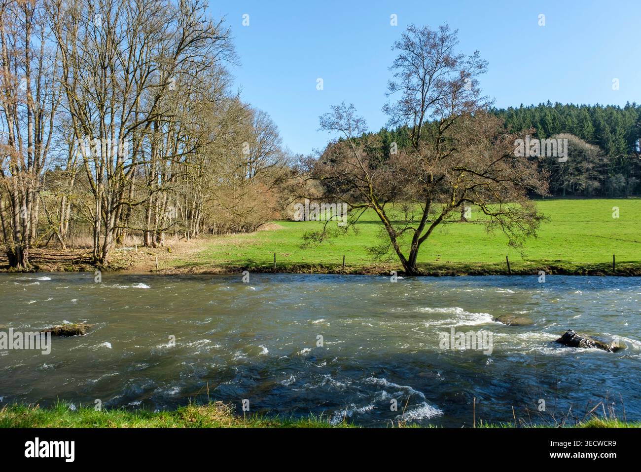 I boschi e la pineta intorno alla frazione di Aisomont offrono una vista sul villaggio di Parfondruy e sul fiume Amblève. | Les bois et les Foto Stock